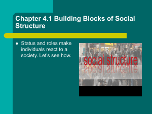 Chapter 4.1 Building Blocks of Social Structure