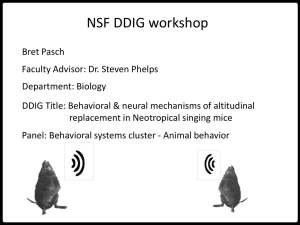 NSF DDIG for the Biological Sciences Workshop