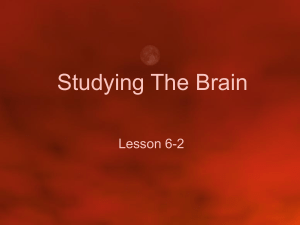 Studying The Brain - Freeman Public Schools