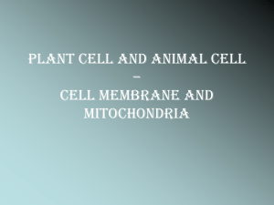 Plant cell and Animal cell – Cell membrane and