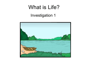 PowerPoint Lesson 1: What is Life?