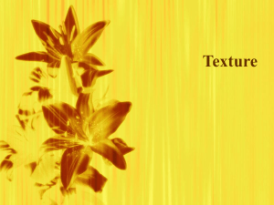 Chapter 7-Texture