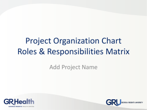 Project Organization Chart & Roles