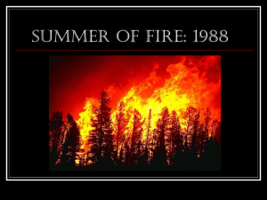 Summer of FIRE