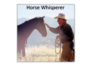 Horse_Whisperer