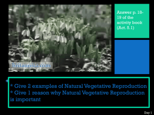 * Give 2 examples of Natural Vegetative