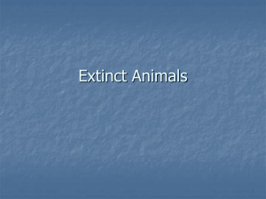 Extinct Animals - PBworks