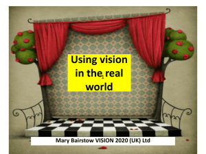 Using vision in the real world (Powerpoint, 1.1 MB)