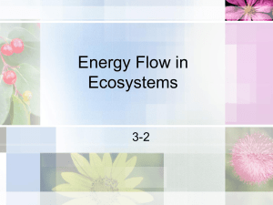 Notes on how energy moves through living systems