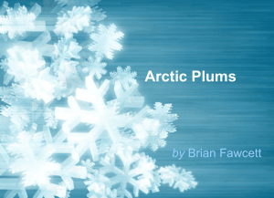 Arctic Plums