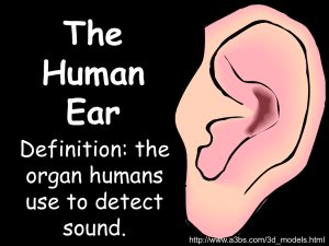 The Human Ear (1)