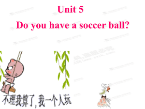 新人教版七年级英语上册课件《 Unit 5 Do you have a soccer ball》