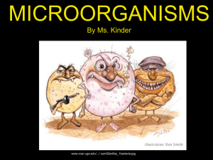 Microorganism Test Review Powerpoint