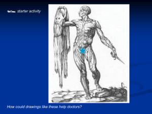 starter activity How could drawings like these help doctors?