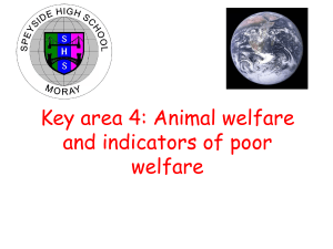 Unit 3 Key Area 4 Animal Welfare