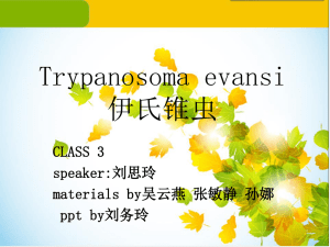 Trypanosoma evansi