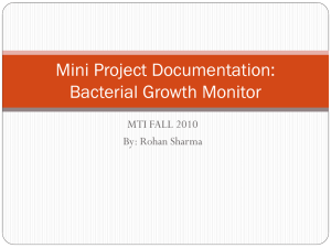 Mini Project Documentation
