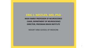 ERIC J. NESTLER, MD, PhD NASH FAMILY PROFESSOR OF