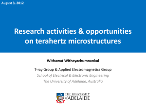 Research activities and opportunities on terahertz microstructures