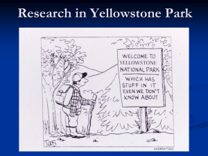 Research in Yellowstone Park 2010 - C. Hendrix