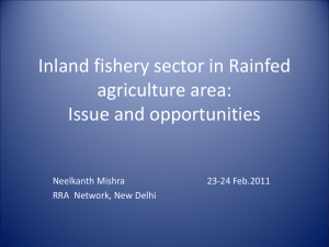 Inland fishery sector: Issue and opportunities