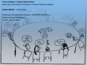 Governance and steering committees