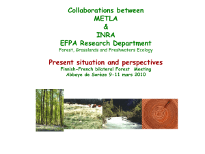 Forest sector based R&D system in France