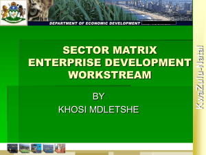 Sector Matrix Workstream - KZN Economic Development & Tourism