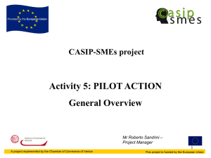 CASIP-SMEs_Pilot Action presentation_final version
