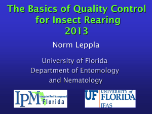 The Basics of Quality Control for Insect Rearing