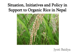 Organic Rice Industry in Nepal - Asian Farmers Association for