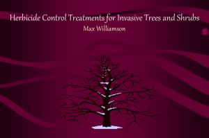 Herbicide Control Treatments for Invasive Trees and