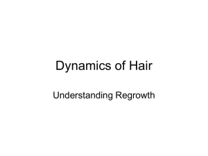 Dynamics of Hair growth - Cosmetic Therapy Training Center
