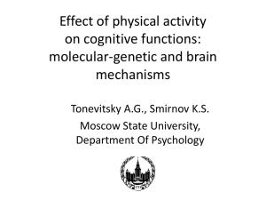 Effect of acute physical activity on cognitive functions: molecular