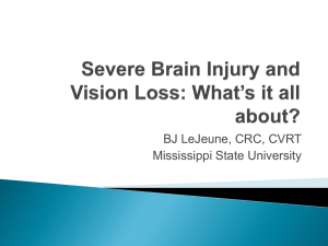 Acquired and Traumatic Brain Injury and Vision Loss