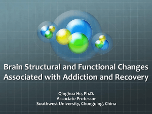 Brain Structural and Functional Changes Associated with Addiction