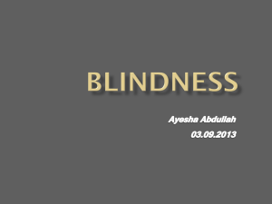Blindness 03.09.2013