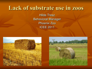 The Lack of Substrate Use in Zoos