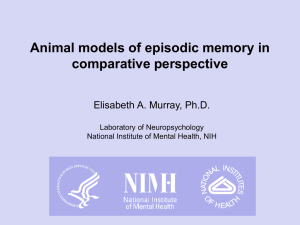 Betsy Murray: Animal models of episodic memory in