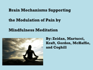 Brain Mechanisms Supporting the Modulation of Pain by