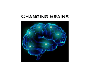 Changing Brains, the Teenage Brain Website