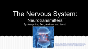 The Nervous System: Neurotransmitters By Josephina