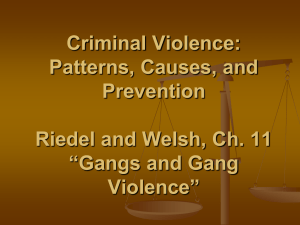 Chapter 11 Powerpoint (2) Gangs