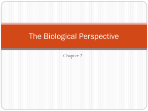The Biological Perspective