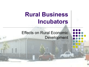 Rural Business Incubators