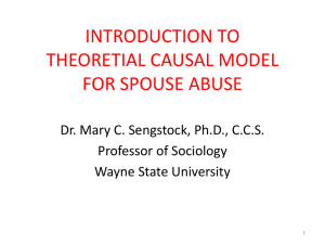 IV. Theories of Spouse Abuse