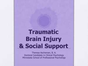 PowerPoint Document - Minnesota Brain Injury Alliance