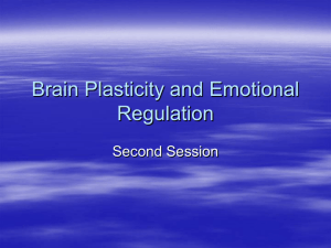 Brain Plasticity and Emotional Regulation