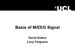 Basis of the M/EEG signal - UCL