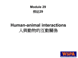 29_Human Animal Bond 人與動物之連結